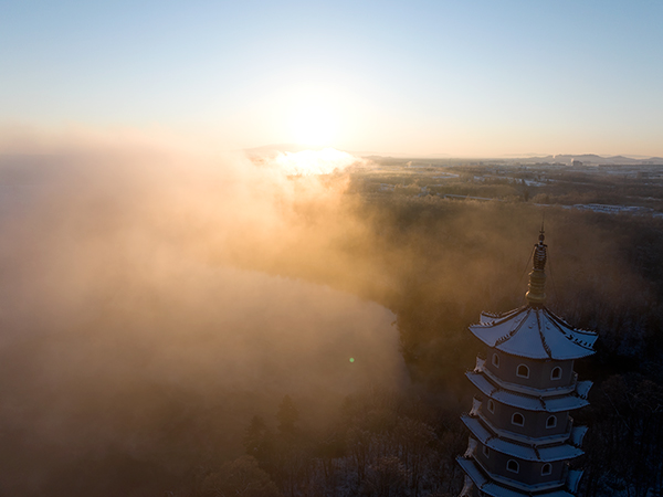 景区运营