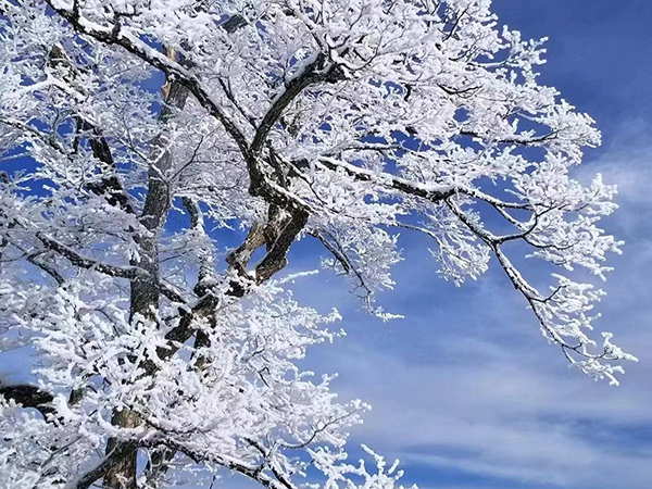 景区运营